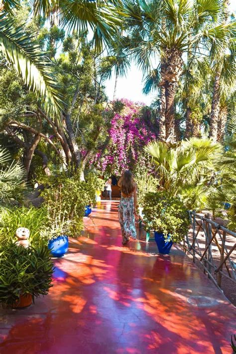 ysl garden marrakech entrace|majorelle gardens marrakech.